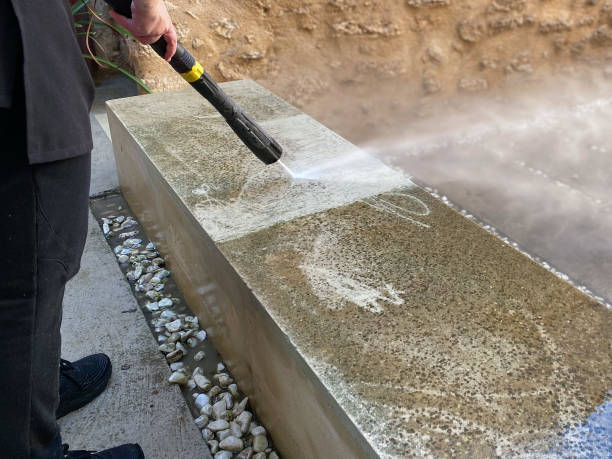 Best Exterior Home Cleaning  in Holtville, CA