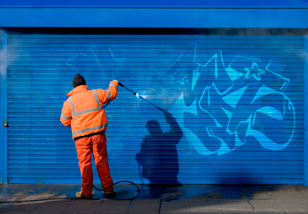Best Pressure Washing Near Me  in Holtville, CA