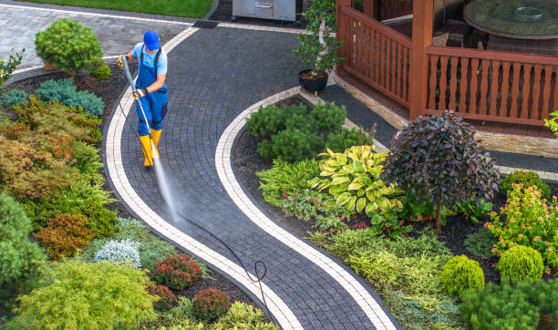 Best Affordable Power Washing  in Holtville, CA