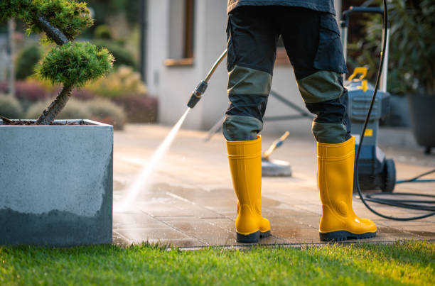 Best Concrete Pressure Washing  in Holtville, CA